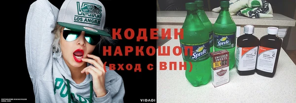 стаф Ельня
