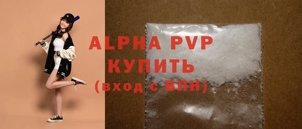 стаф Ельня