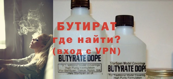 стаф Ельня