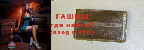 стаф Ельня