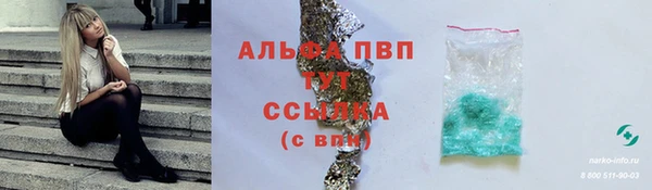 стаф Ельня