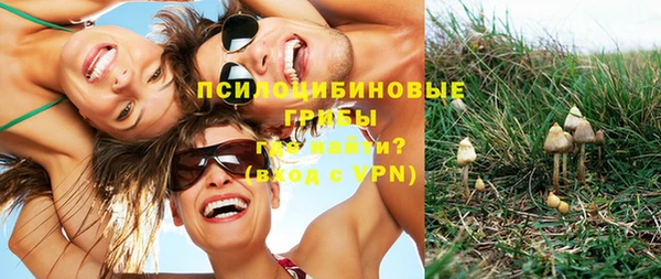 бошки Елизово