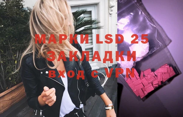 стаф Ельня