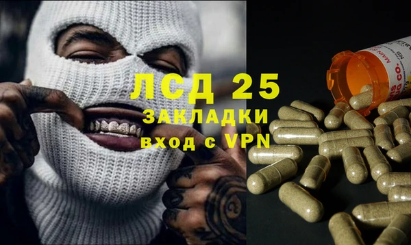 стаф Ельня