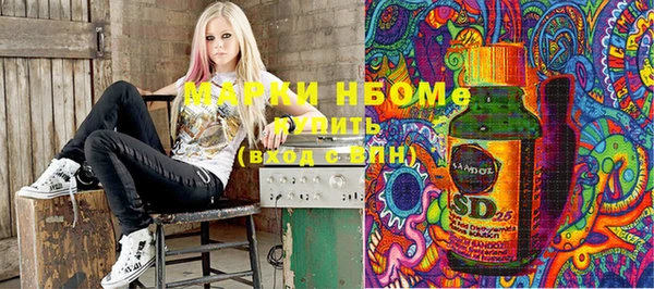 стаф Ельня