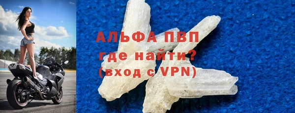 стаф Ельня