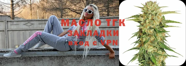 стаф Ельня