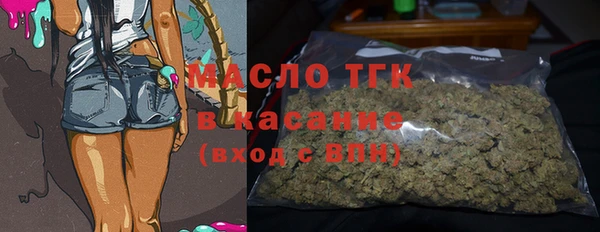 стаф Ельня