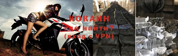гашик Дмитров