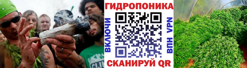 Канабис White Widow  Купить  Нея 
